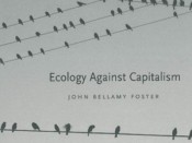 Ecology Against Capitalism